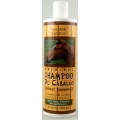 Horse Shampoo for Human Use - Spanish garden